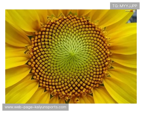 ð¦-¦ÀÞ+±¦=¦·